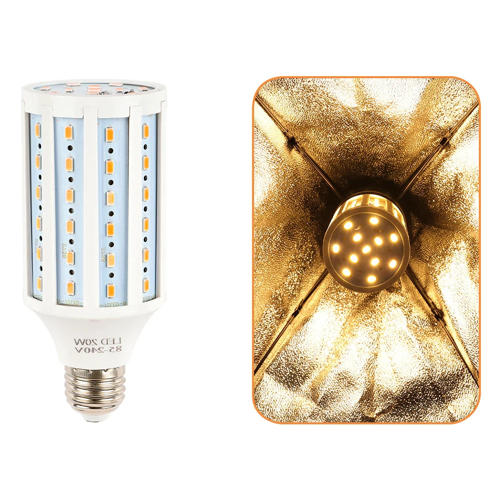 Photography Softbox Lighting Kits 50x70CM Professional Continuous Light System Soft Box For Photo Studio Equipment - trendingshoping.com