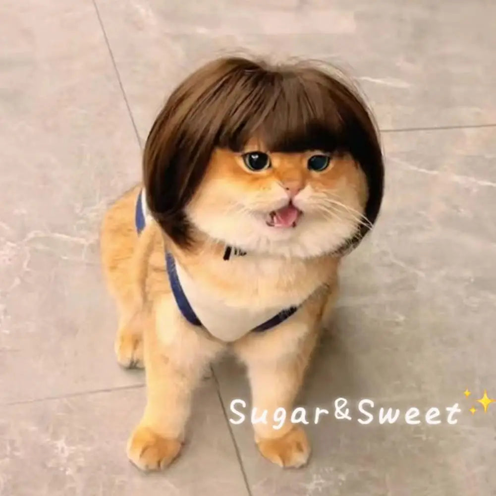 Cat and Dog Wig Costume Pet Cosplay Head Accessory