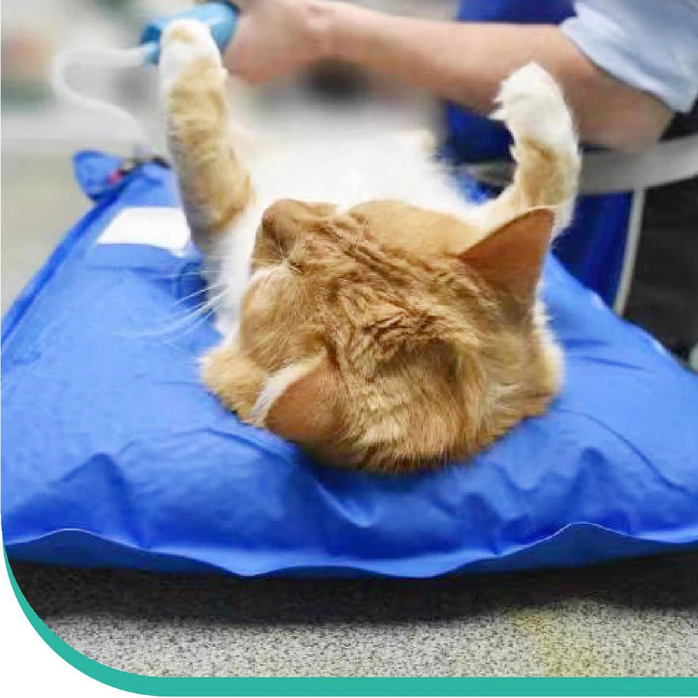 Pet Vacuum Positioning Mat for Veterinary Examination