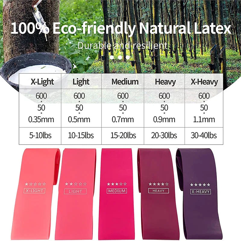 Resistance Loop Exercise Bands 5 Different Resistance Levels Elastic Band for Arm Leg Stretching and Strength Training