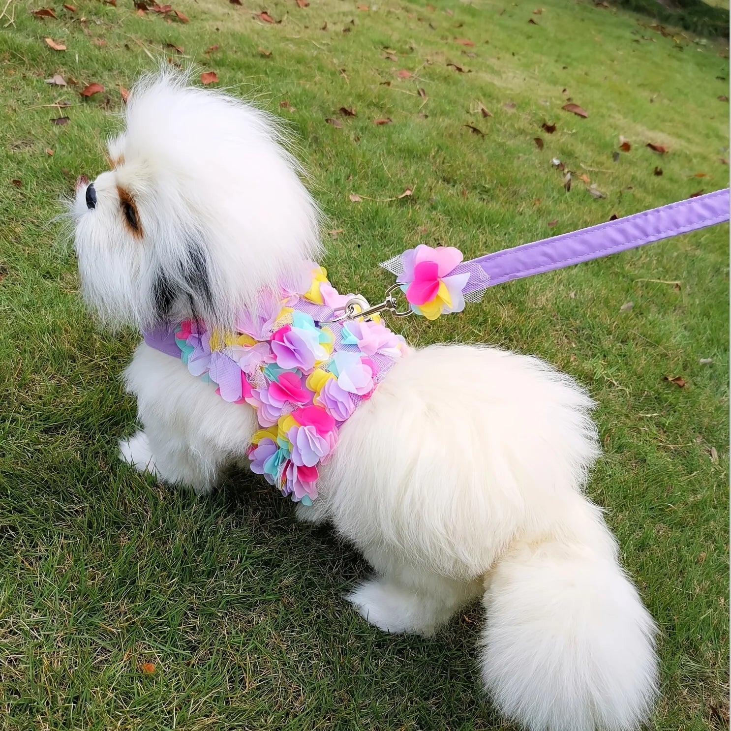 Dog Harness Leash Set Flower Decor for Small Dogs Cats