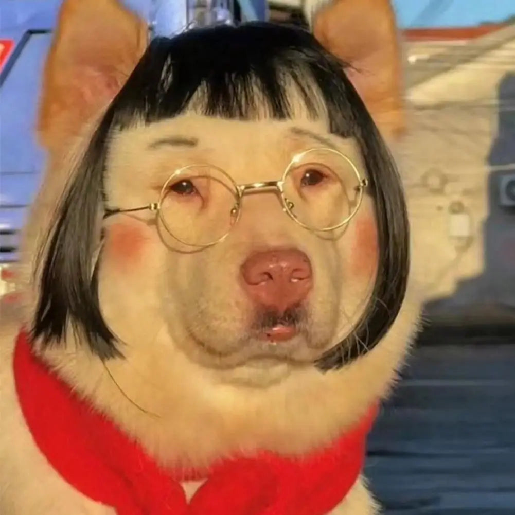 Cat and Dog Wig Costume Pet Cosplay Head Accessory