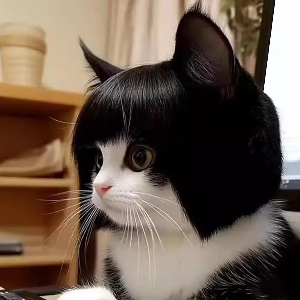 Cat and Dog Wig Costume Pet Cosplay Head Accessory