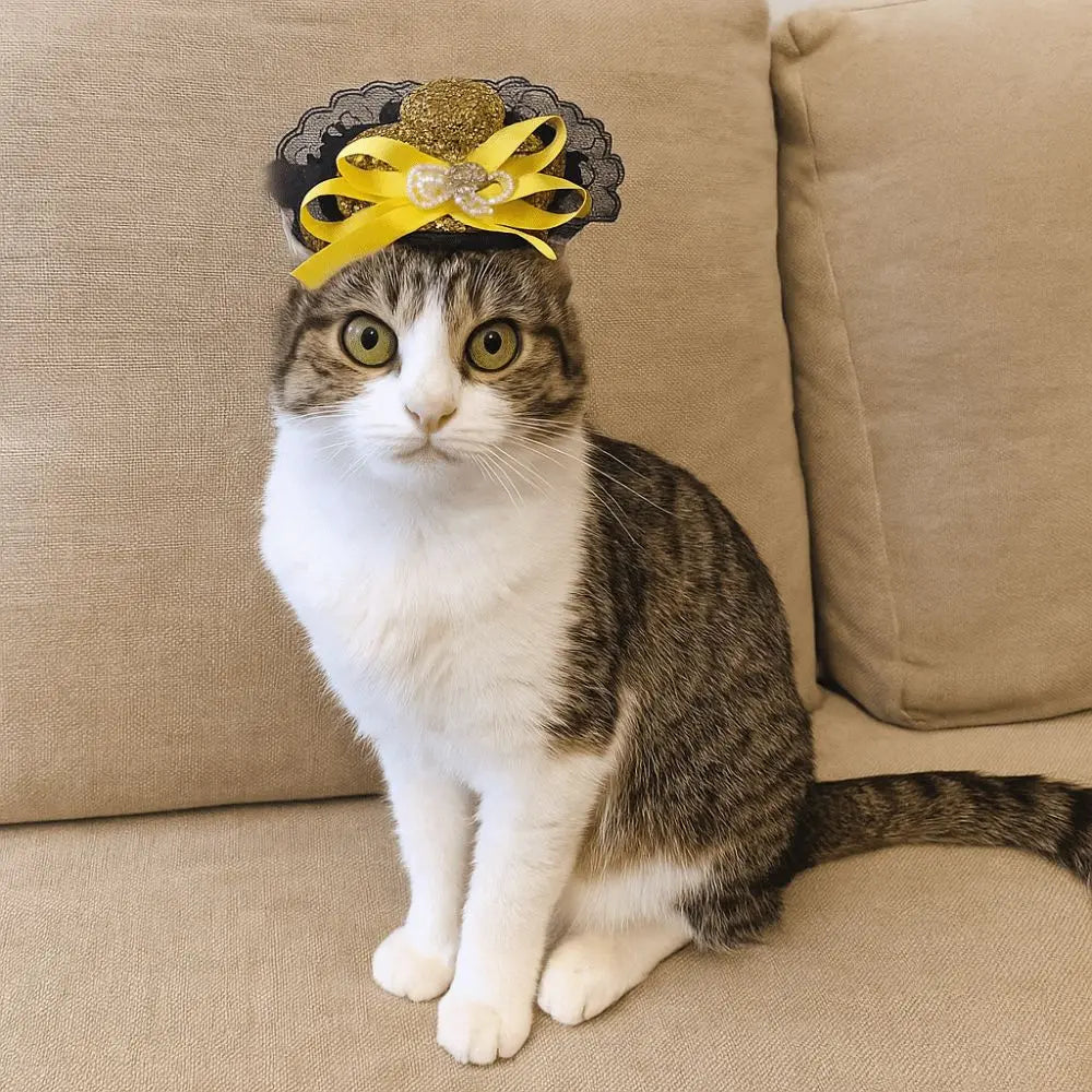 Pet Cat Halloween Hat Adjustable Sequin Lace Cosplay