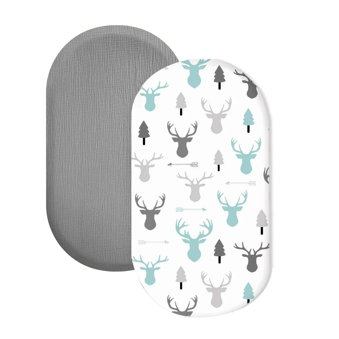 S3753fc5442a447b1b30736d84054c72fh