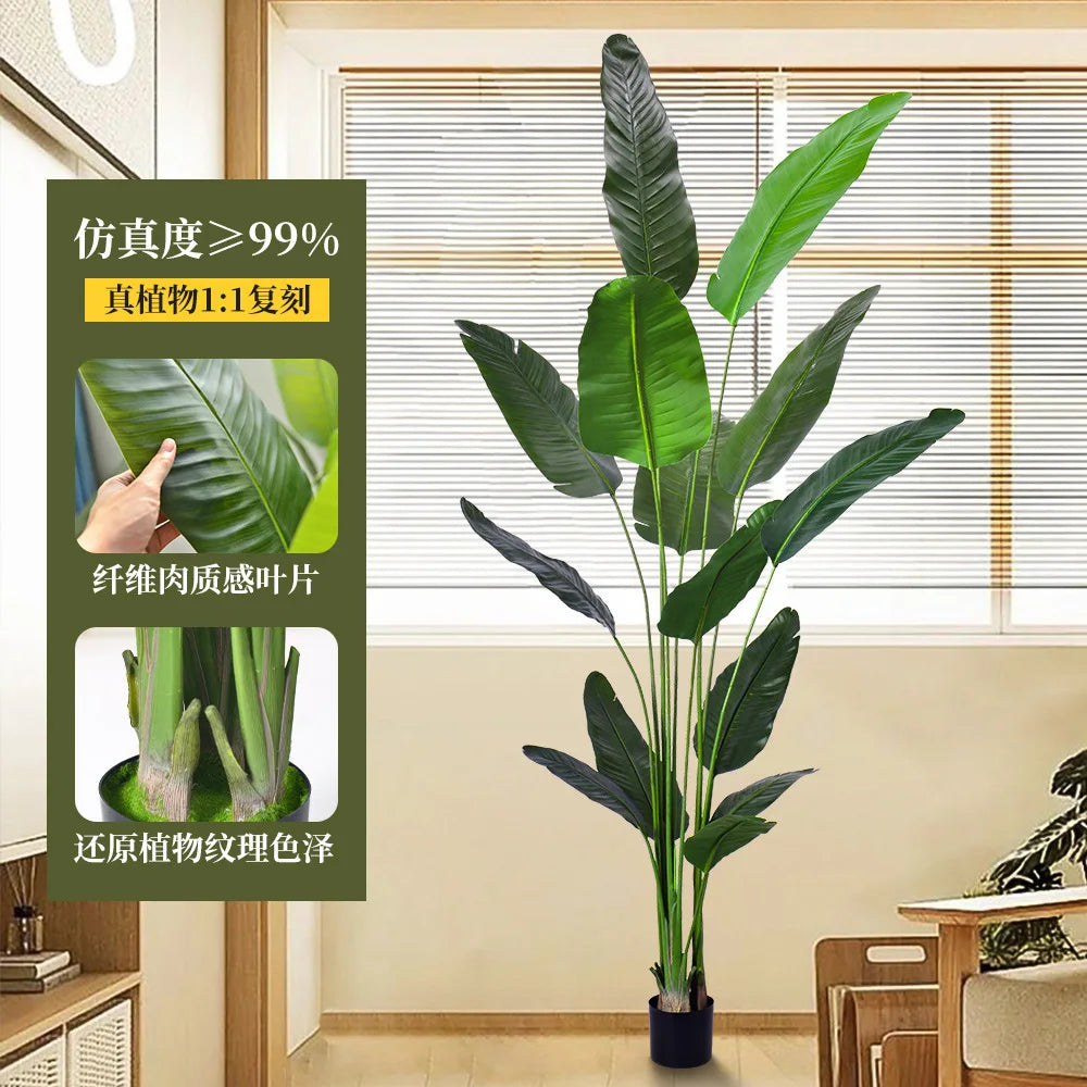 S44229c14e2d74bab8ba5419e67648309F