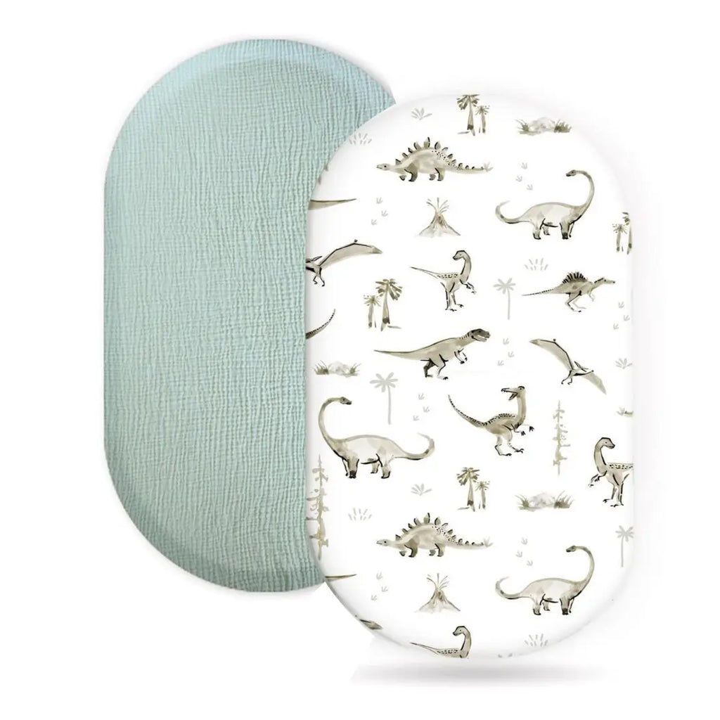 S452246d794684621a18afb706fa57f2bG