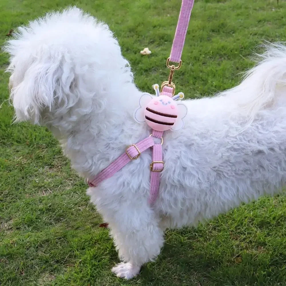 Pet Accessory Bag for Dog Leash Collar and Harness