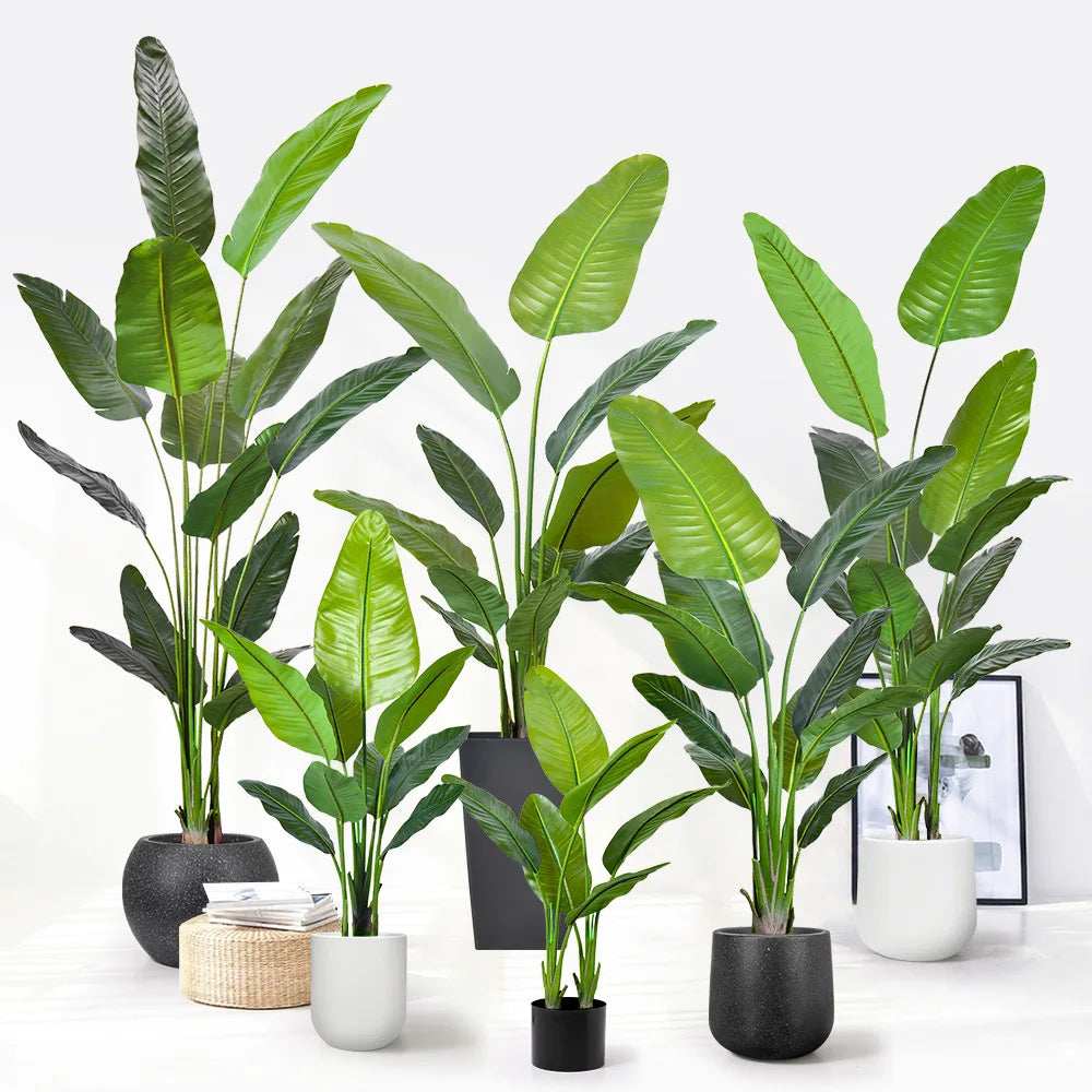 S4d3bc49306aa42b3bb55546af59131c9a