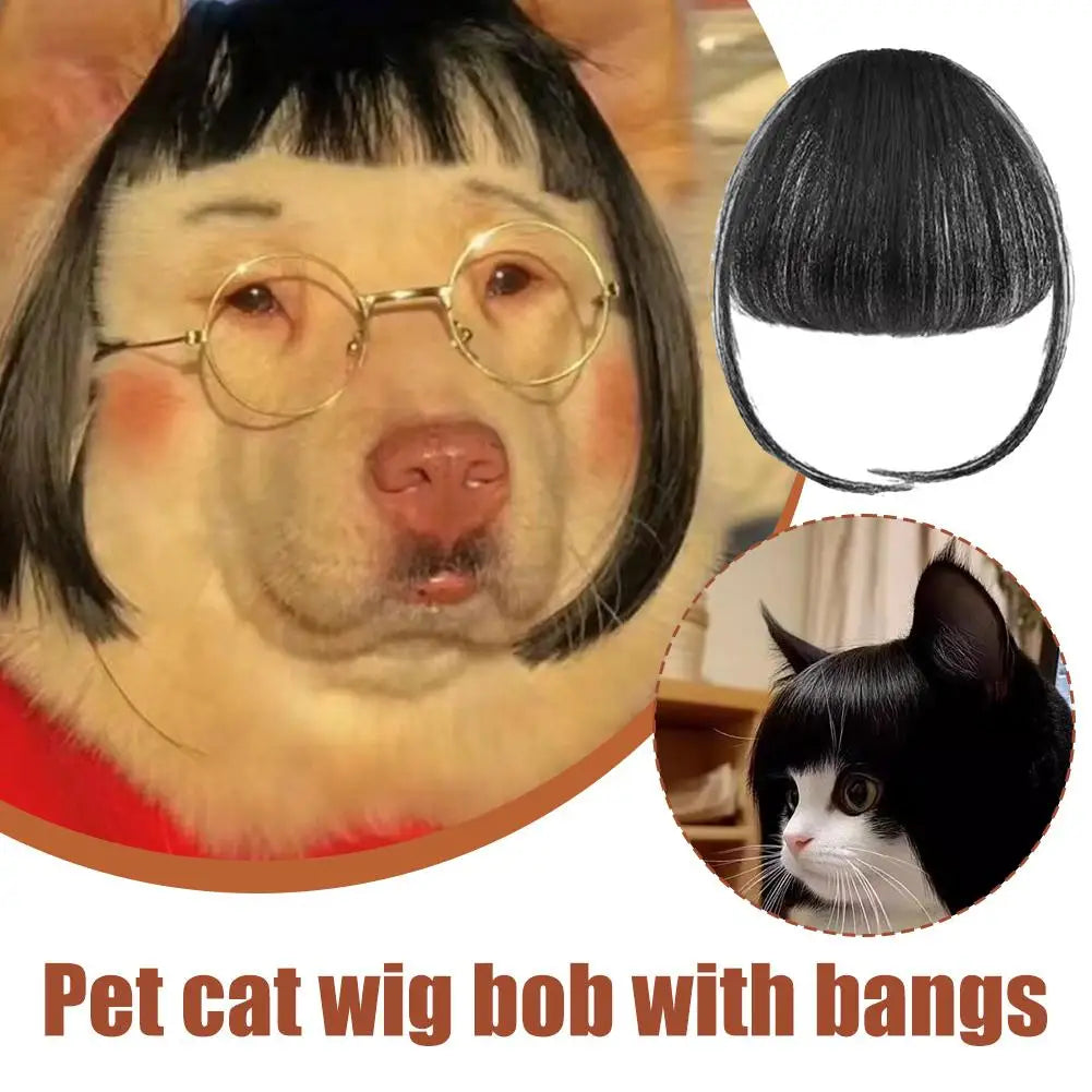 Cat and Dog Wig Costume Pet Cosplay Head Accessory