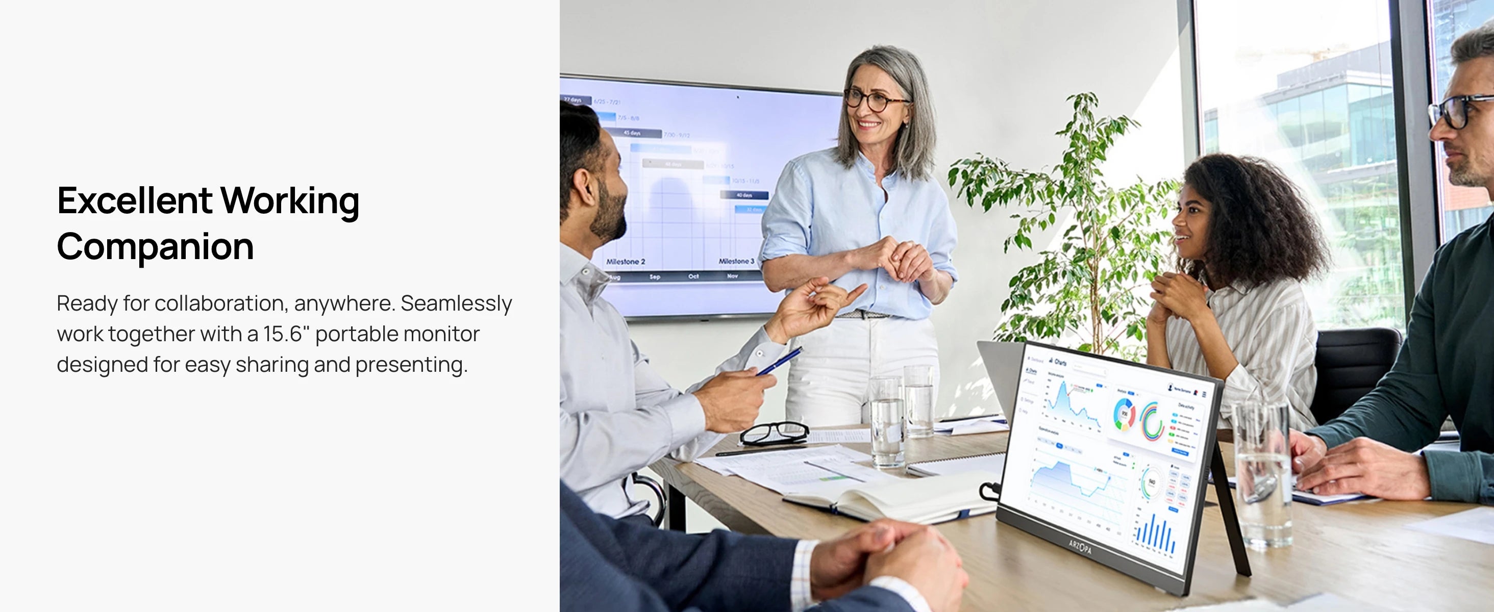 ARZOPA 15.6 inch Portable Monitor FHD 1080P IPS USB-C Mini-HDMI External Second Screen for Mac Laptop PC Switch Xbox PS4/5 Xbox - trendingshoping.com