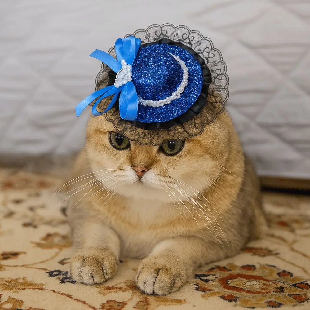 Pet Cat Halloween Hat Adjustable Sequin Lace Cosplay
