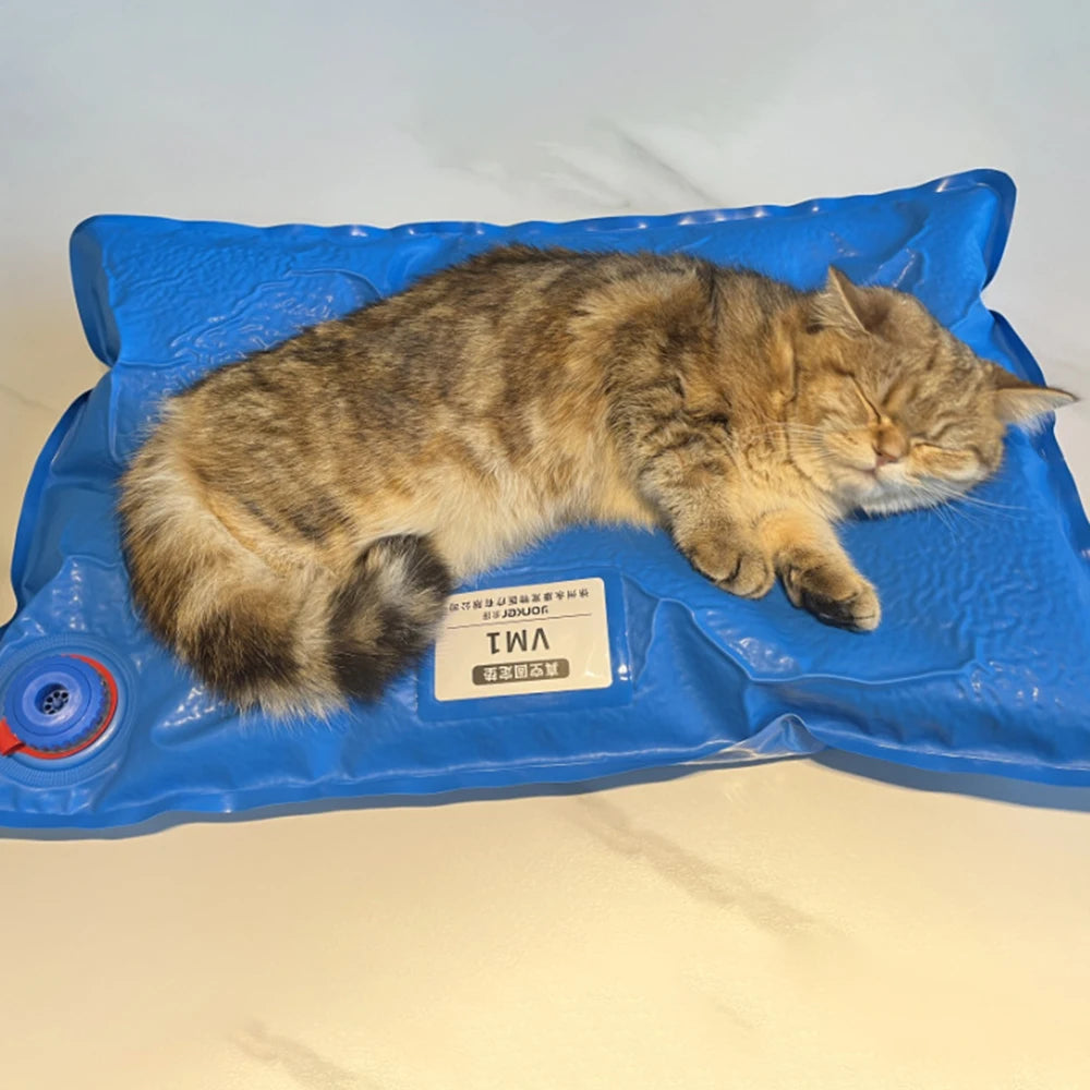 Pet Vacuum Positioning Mat for Veterinary Examination