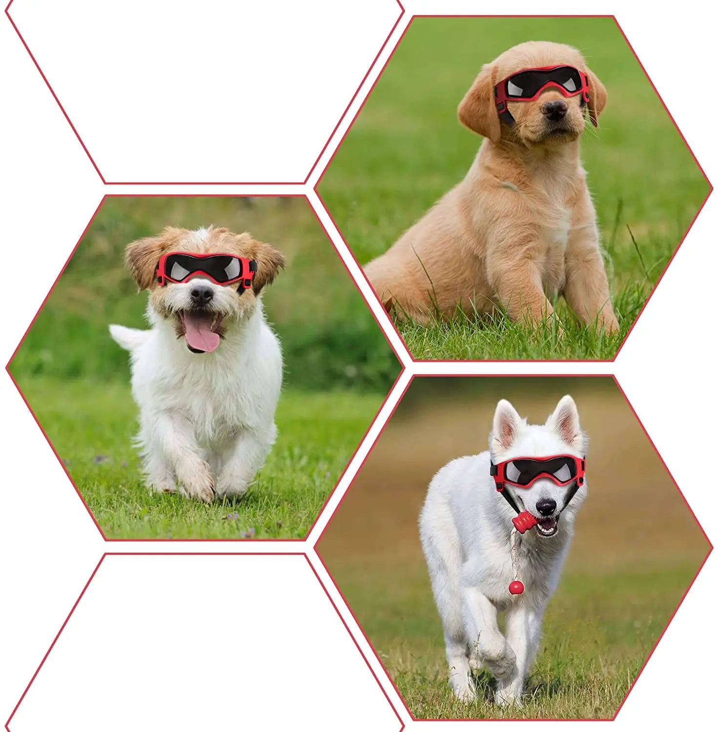 Dog and Cat Goggles UV Protection Adjustable Strap