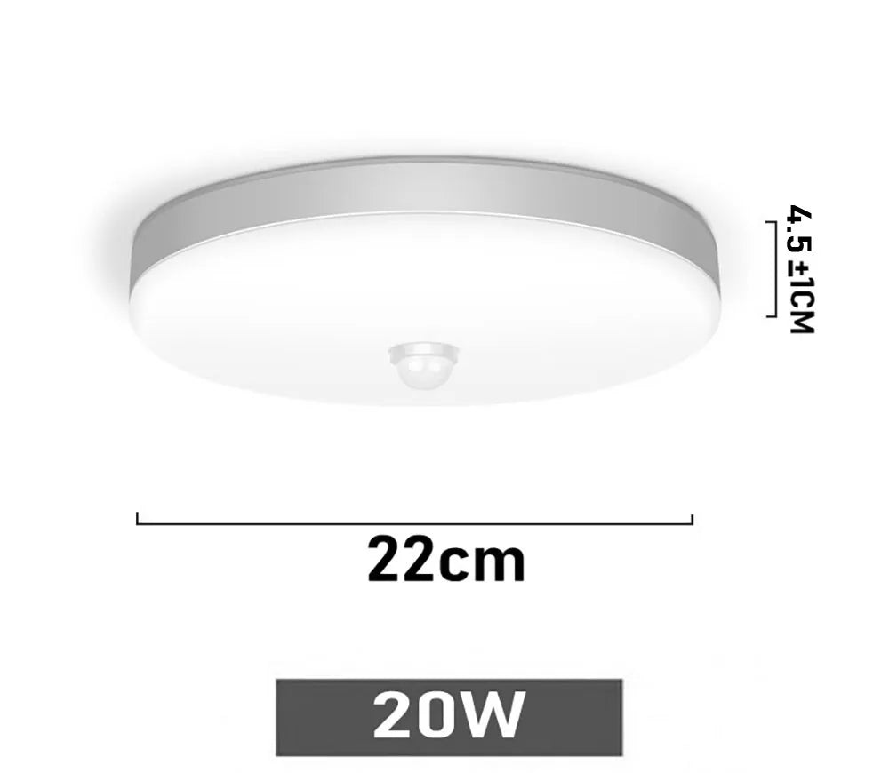 Smart Home LED Ceiling Light With PIR Motion Sensor 20W 30W AC Indoor Lamp For Room Hallway Corridor