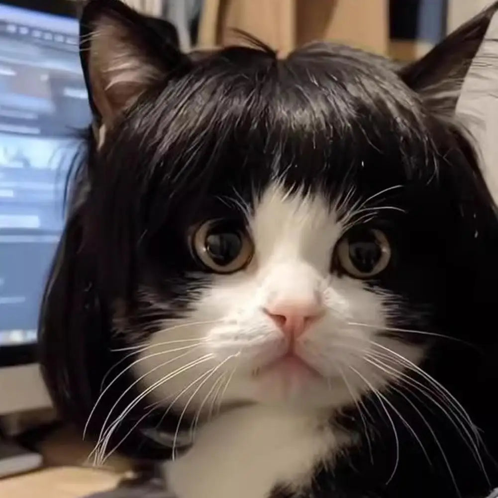 Cat and Dog Wig Costume Pet Cosplay Head Accessory