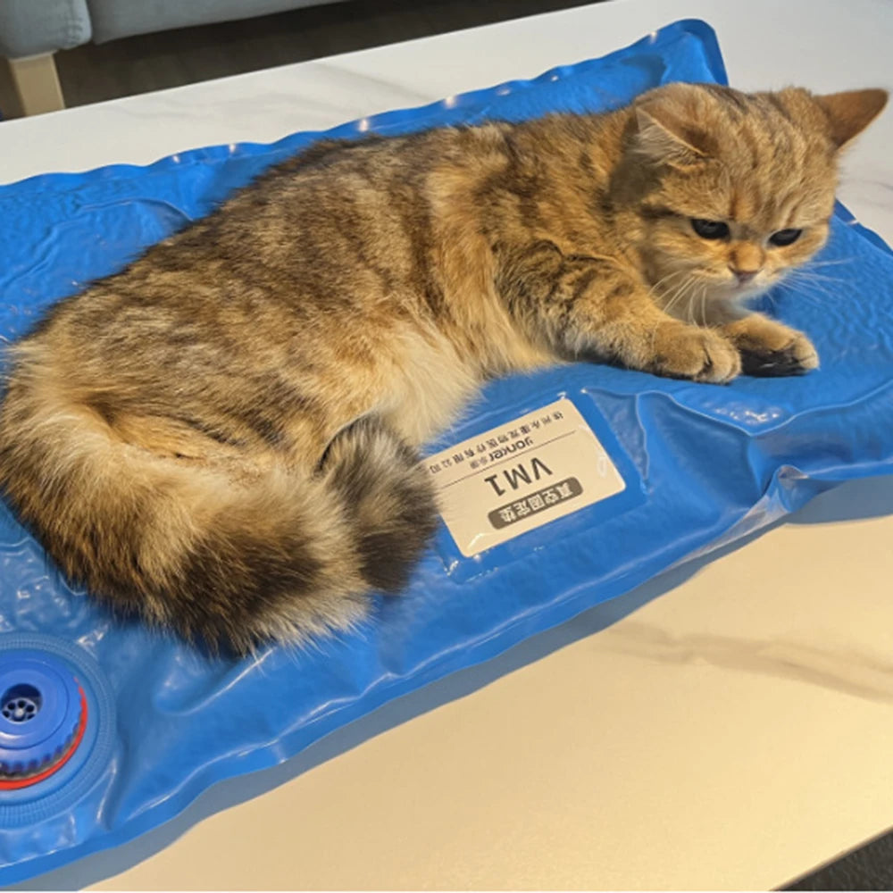 Pet Vacuum Positioning Mat for Veterinary Examination