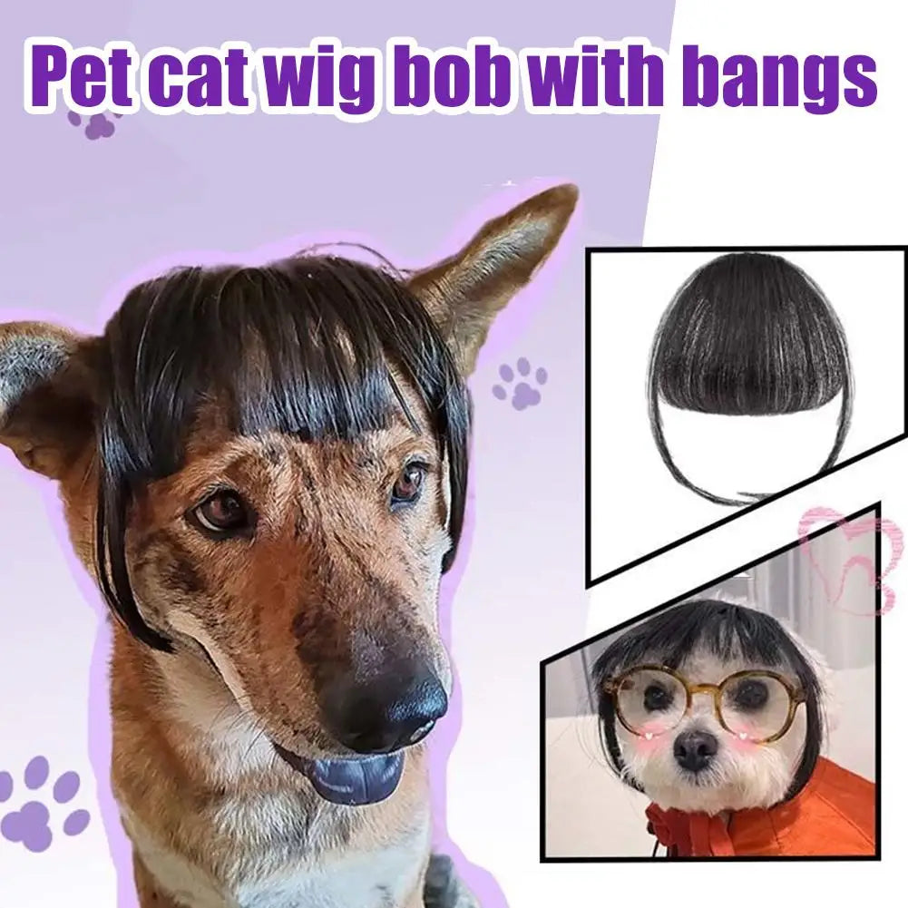 Cat and Dog Wig Costume Pet Cosplay Head Accessory