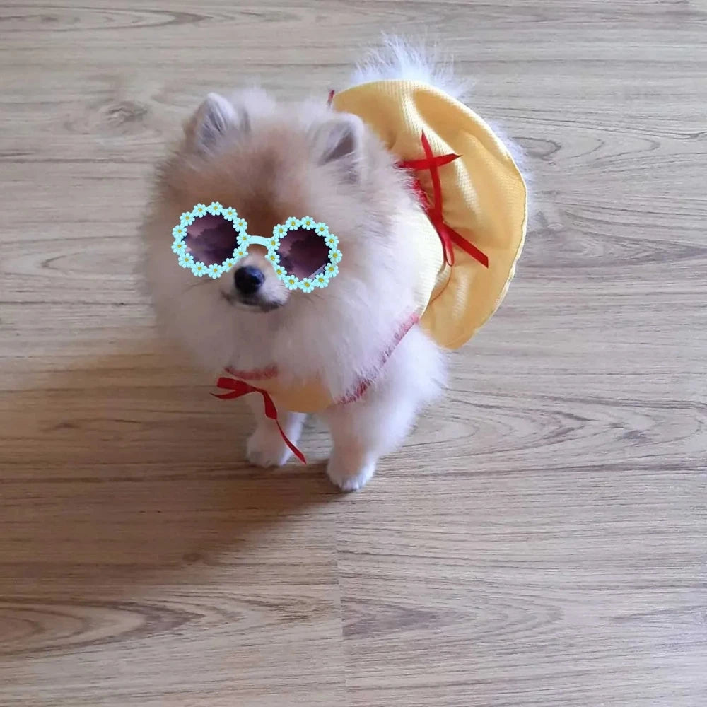 Pet Costume Flower Glasses Photo Prop for Cats Small Dogs