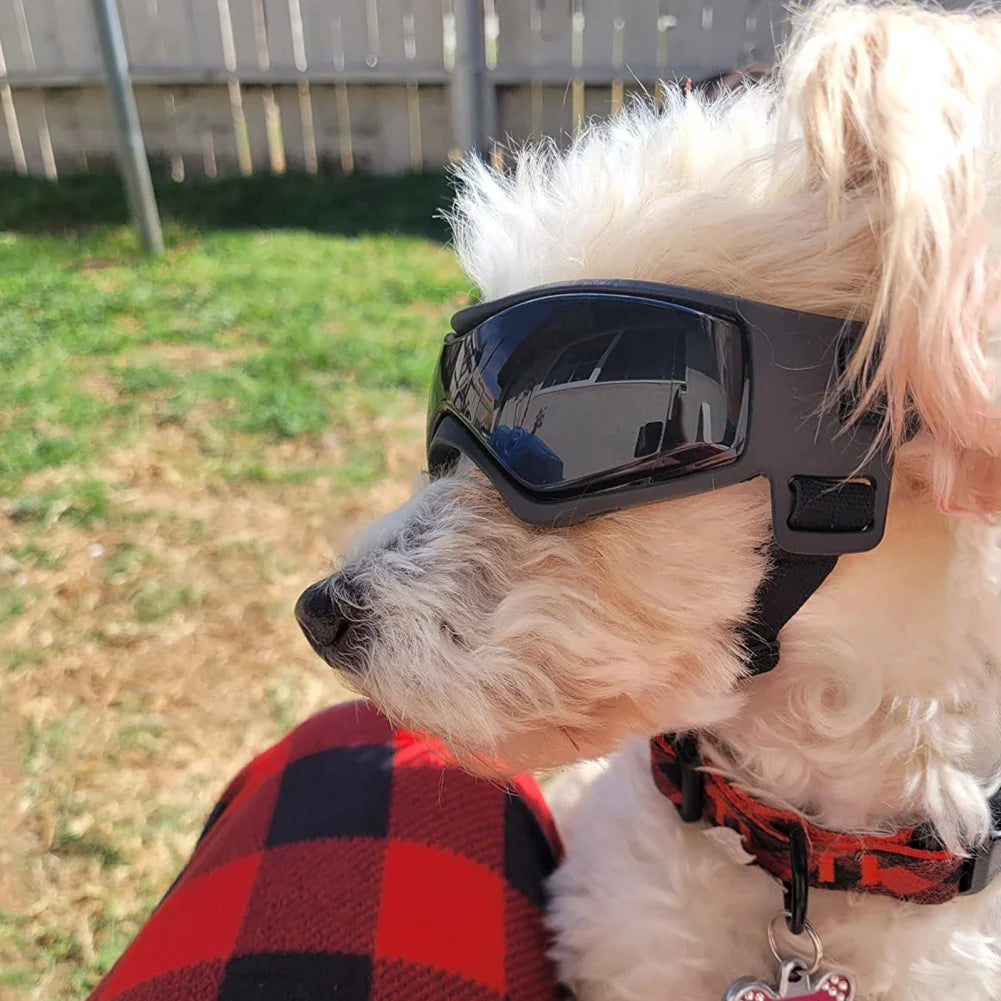 Dog and Cat Goggles UV Protection Adjustable Strap