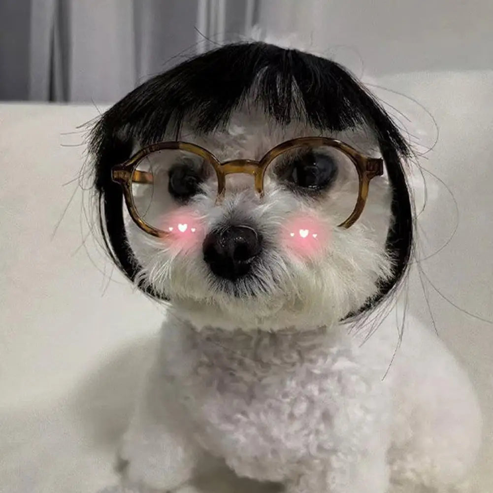 Cat and Dog Wig Costume Pet Cosplay Head Accessory