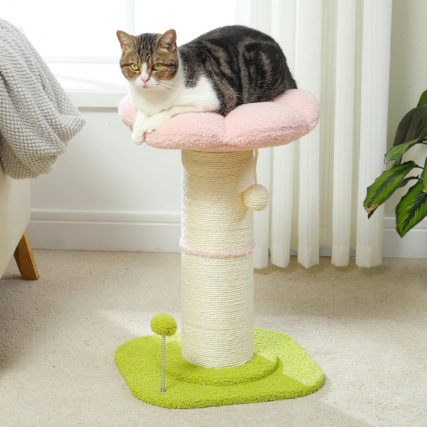 Flower Cat Scratching Post Small Cat Tree Tower Cat Scratcher for Indoor Cats with Super Thick Scratching Post Removable Cat Bed - trendingshoping.com