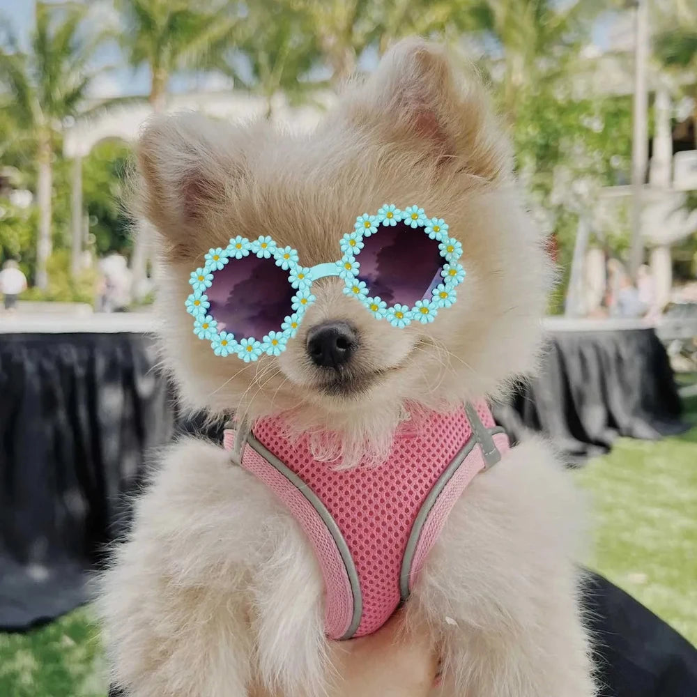 Pet Costume Flower Glasses Photo Prop for Cats Small Dogs