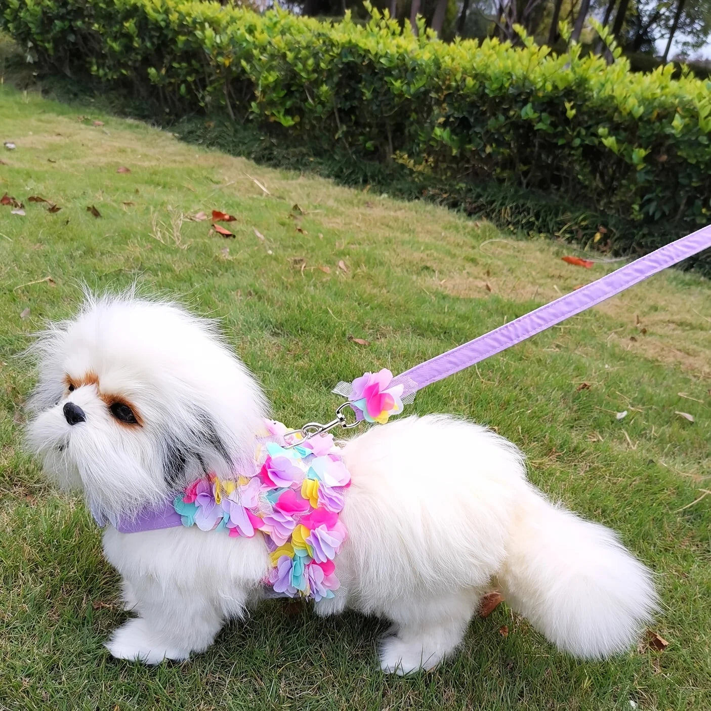 Dog Harness Leash Set Flower Decor for Small Dogs Cats