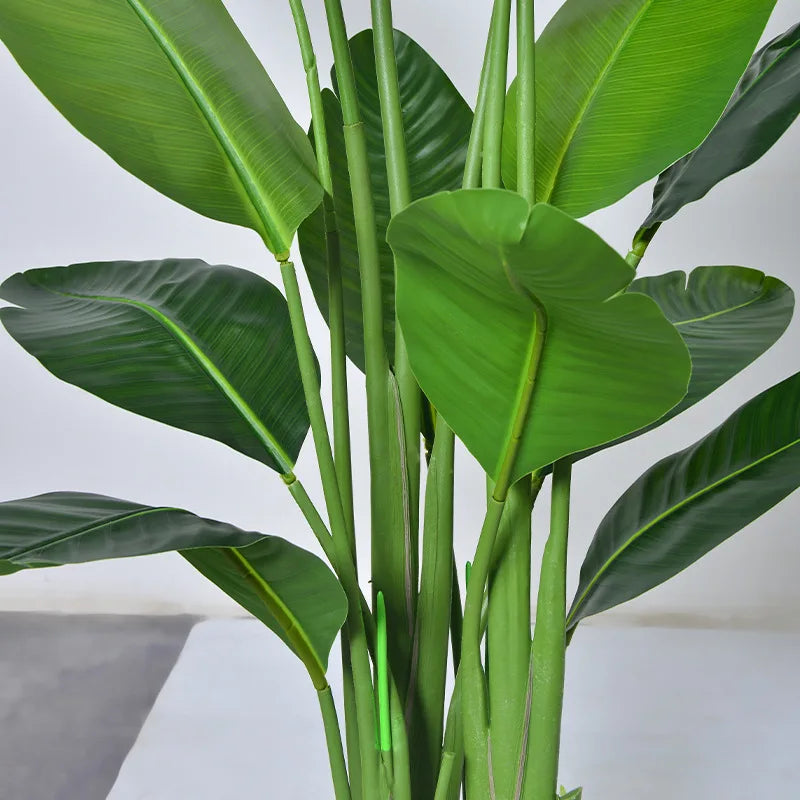 Se7b2301babdf426792cbb98ddbe92ae0c